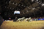 Extreme - 00831